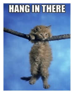 hang in there